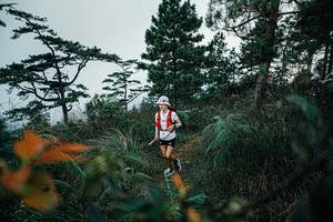 BIB: 
                            <button type="button" onclick="openModal(25260444)" class="btn btn-primary btn-sm float-right btn-popup" data-toggle="modal" data-target=".modal-high-quality">
                        <i class="fas fa-shopping-cart"></i> Add to Cart
                    </button>
                                            <button type="button" onclick="isThisMe(25260444, true)" class="btn btn-success btn-sm float-right btn-popup btn-isme hidden" data-toggle="tooltip" data-placement="bottom" title="นี่คือรูปของคุณใช่ไหม คลิกที่นี่เพื่อเอาเข้าอัลบั้ม">
                        <i class="fas fa-plus"></i> Add to album
                    </button>
                    <button type="button" onclick="isThisMe(25260444, false)" class="btn btn-warning btn-sm float-right btn-popup btn-isnotme hidden">
                        <i class="fas fa-ban"></i> Remove from album
                    </button>